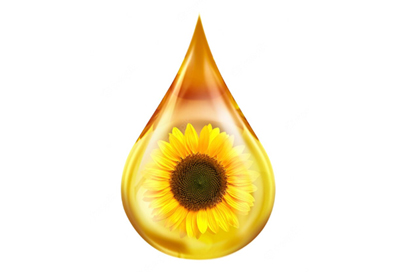 technology-innovation